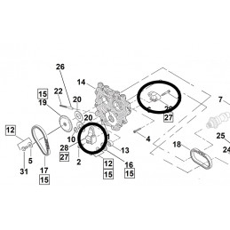 Jeu de patins tendeurs de chaines de cames Daytona International OEM 39968-06 + 39969-06 732960 Cames pour Twin Cam