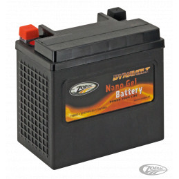 Batterie Dynavolt Nano Gel remplace les batteries YTX14LBS, 14AH, 315CA, 260CCA OEM 65958-04 738862 Batteries DynaVolt Nano Gel