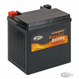 Batterie Dynavolt Nano Gel remplace les YTX30-L, 30AH, 520CA, 416CCA OEM 66010-97B 738864 Batteries DynaVolt Nano Gel