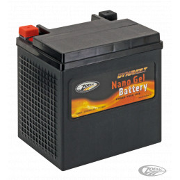Batterie Dynavolt Nano Gel remplace les YTX30-L (OEM 66010-97B) 738864 Pièces pour Harley-Davidson