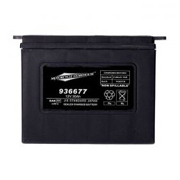 Batterie AGM 12 Volt, 30Ah, 370 CCA, OEM 66005-65A, 66007-84 M936677 Batteries classiques pour Harley-Davidson
