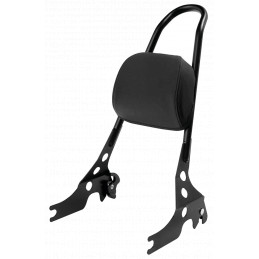 Sissy bar amovible en une seule pièce pour Sportster 770769 Sissy Bars et kits de fixation