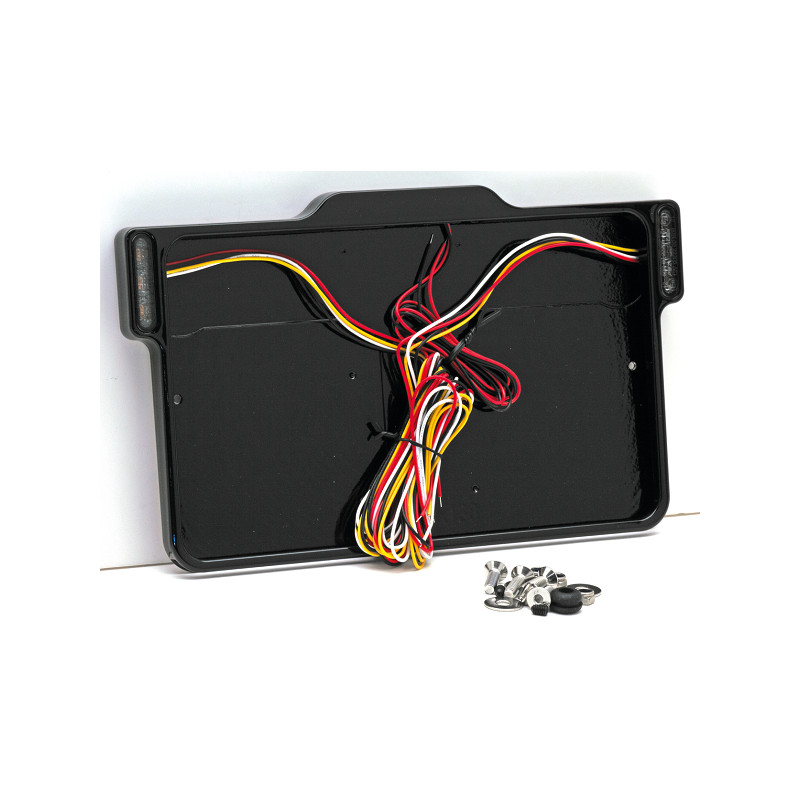 Support de plaque d'immatriculation avec feux multi fonctions France 125mm x 205 mm 739535 Supports feux arrière et plaque