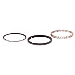 Segmentation Hastings pour Harley-Davidson XL 883 Evolution Sportster 231221 Pistons & Segments