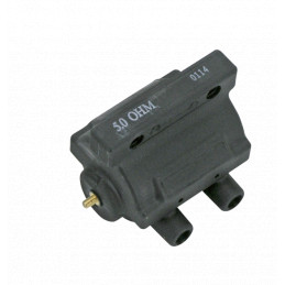 Bobine d'allumage Zodiac 5 Ohms OEM 31609-65A type ronde 748136 Bobines d'allumage