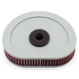 Filtre à air Zodiac hautes performances OEM 29259-93 120120 Filtres a  Air