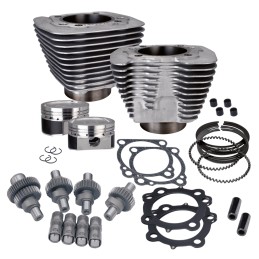 KIT S&S HOOLIGAN 883 à 1200 pour Sportster 2000-2021 finition argent S&S 910-0700 782380 Kits Hot Set Up S&S