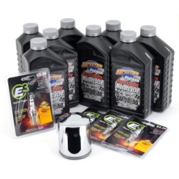 Kits de vidange et revision 780668 Kits Vidanges Spectro Platinum Plus