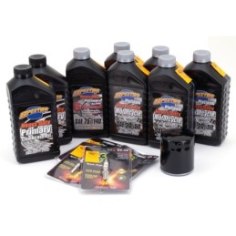 Kits de vidange et revision 780673 Kits Vidanges Spectro Platinum Plus