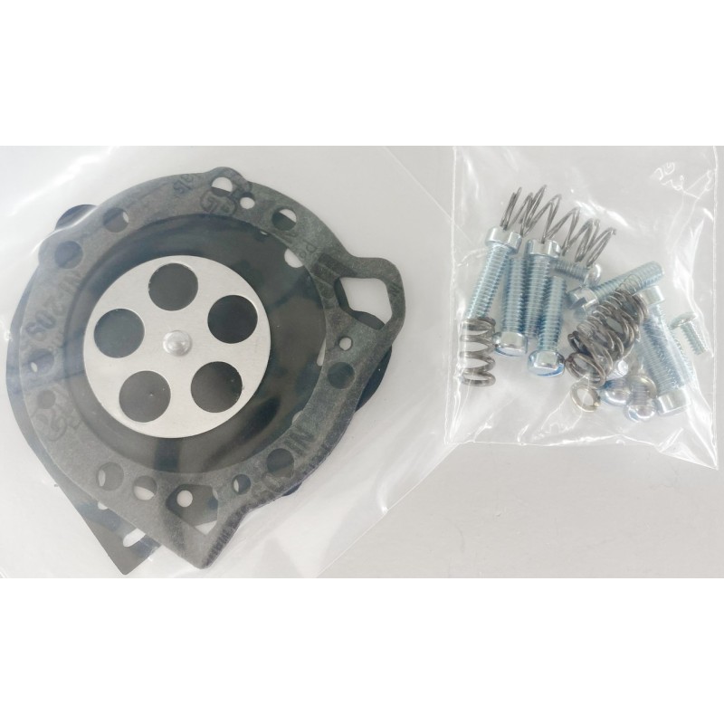 Carburateur tillotson 789972