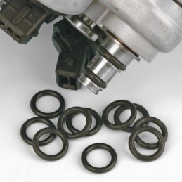 Fuel fitting o-rings 790091