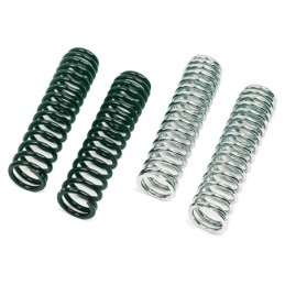 Ressorts d'amortisseurs progressive suspension 234829