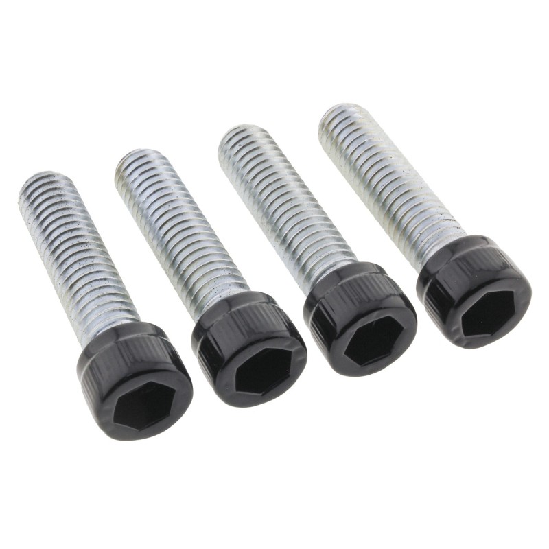 Vis de repose-pieds en inox noires 770401