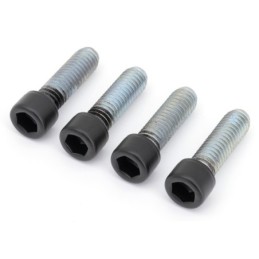 Vis de repose-pieds en inox noires 770426