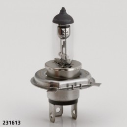 Ampoule h4 pour phare halogene 231613