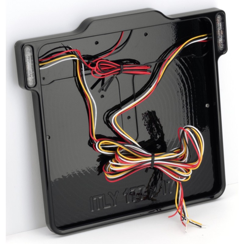 Cadre de plaque d'immatriculation avec feux 739531