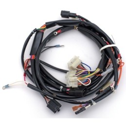 Faisceaux electriques 781830