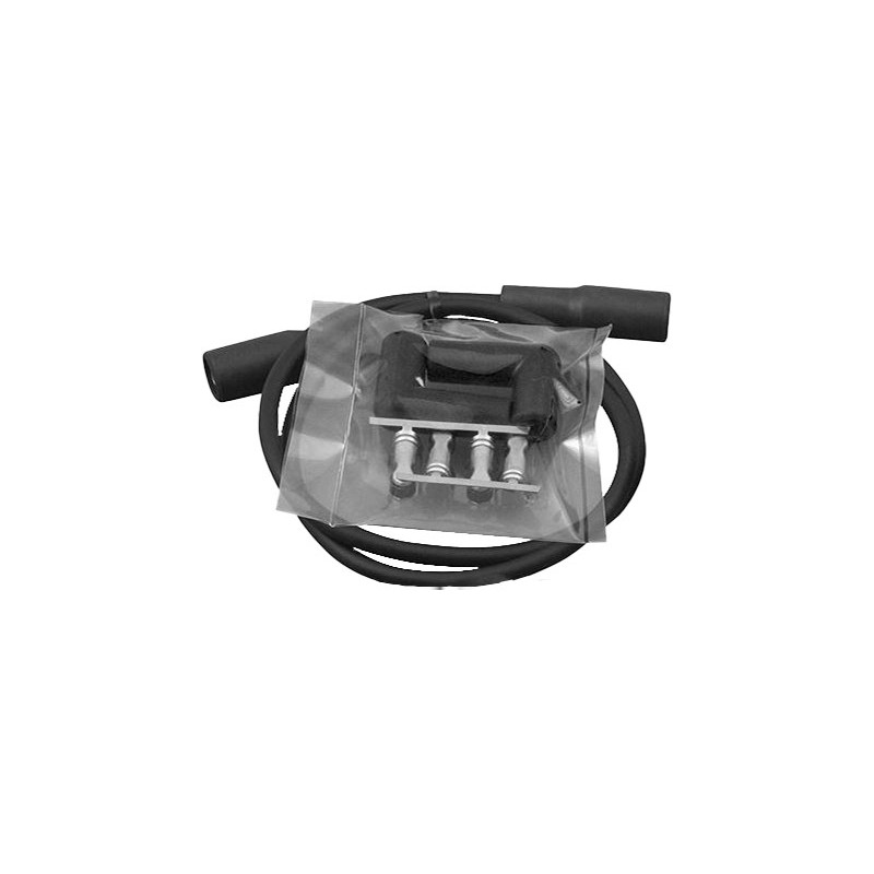 Allumage twin tec pour tous les modeles 2003-2006 a carburateur 741986
