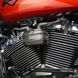 Cache bobine en carbone arlen ness A220010