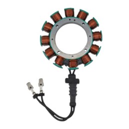 Stators cycle electric 782206
