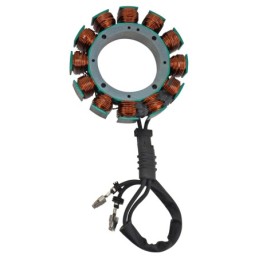 Stators cycle electric 782209