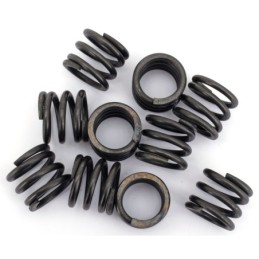 Ressorts de plongeurs pour fourches 41mm hd showa 735126