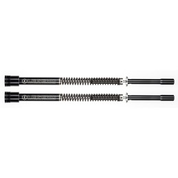 Systeme de cartouche legend axeo 739602