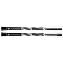 Systeme de cartouche legend axeo 739613