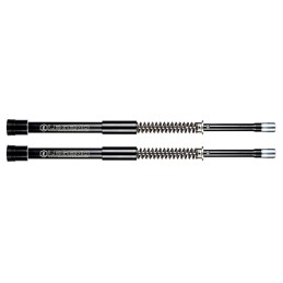 Systeme de cartouche legend axeo 739615