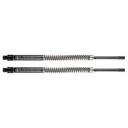 Systeme de cartouche legend axeo 739623
