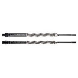 Systeme de cartouche legend axeo 739806