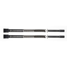 Systeme de cartouche legend axeo 739929