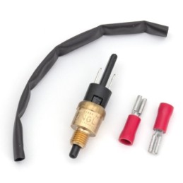 Commmodos beringer 702267