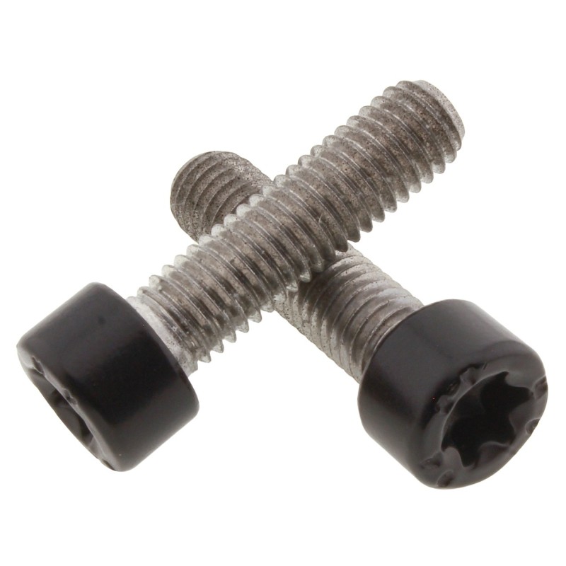 Vis d'embouts de guidons en inox noires pour rh sportster 770444