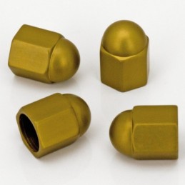 Bouchons de valve 723203