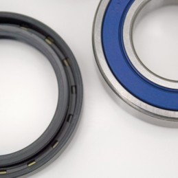 Kits roulements de roue buell par all balls racing 743753