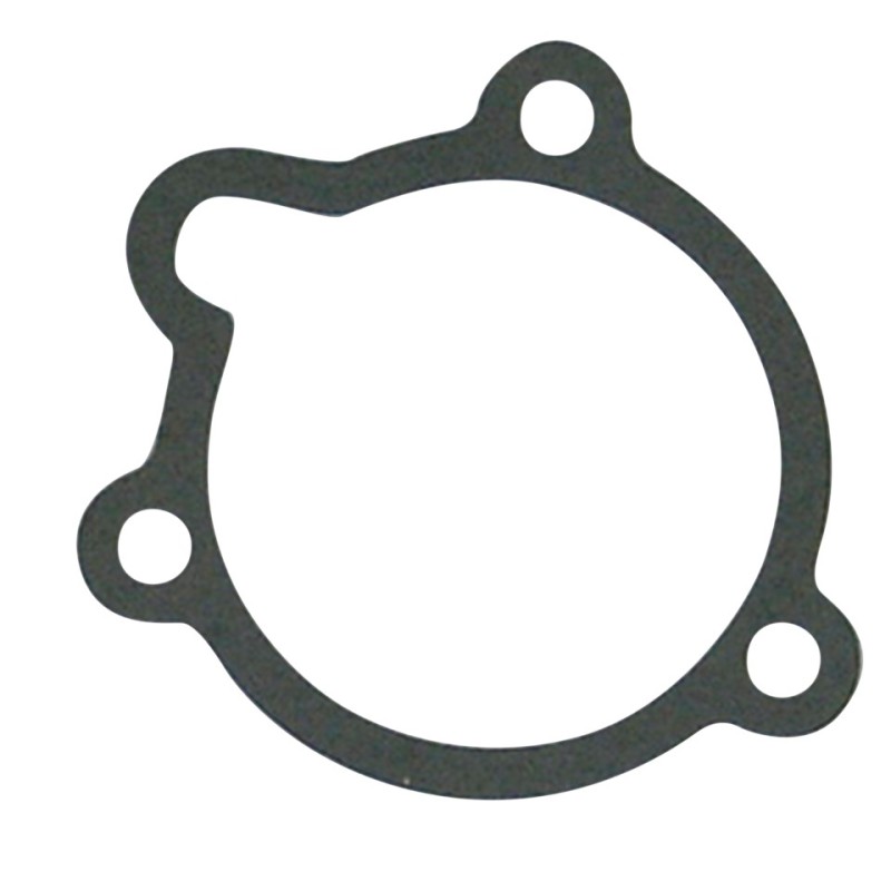 Joints de pipe et carburateur speciaux 742435