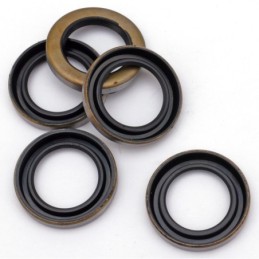 Joints, spys, et o-ring de primaire pour big twin fin 1979-2006 700031