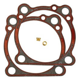 Kit de joints d'embase "oil fix" pour evolution 789358