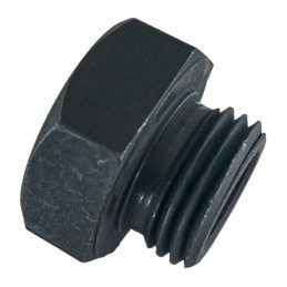 Bouchon de trou d'allumage 710996