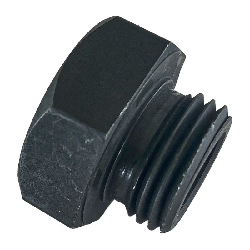 Bouchon de trou d'allumage 710996