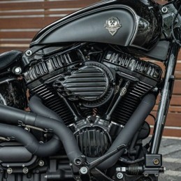 Caches culbuteurs rough crafts pour milwaukee eight ARC610000