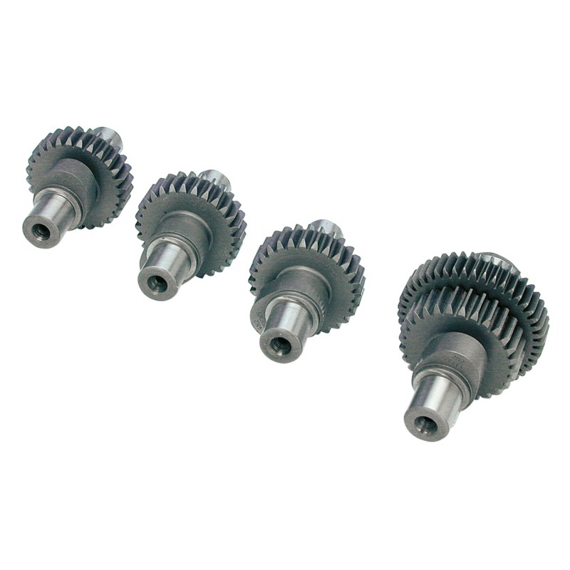 Cames andrews pour sportster evolution 232643