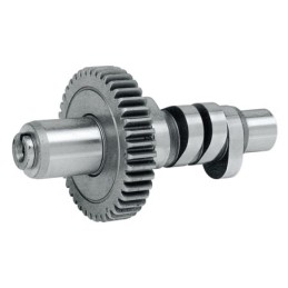 Cames big twin evolution 232627