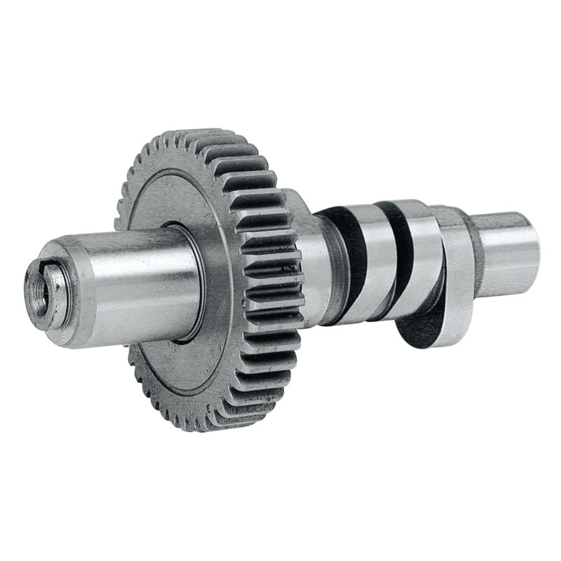 Cames big twin evolution 232627