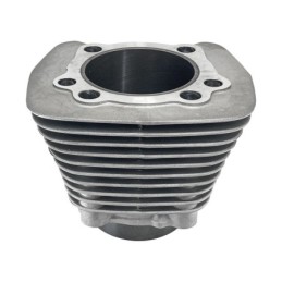 Cylindres de remplacement evolution de haute qualite 049130