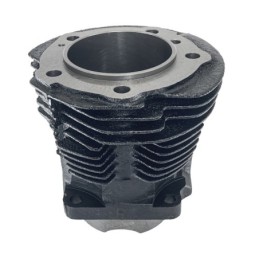 Cylindres et pistons zodiac 049120