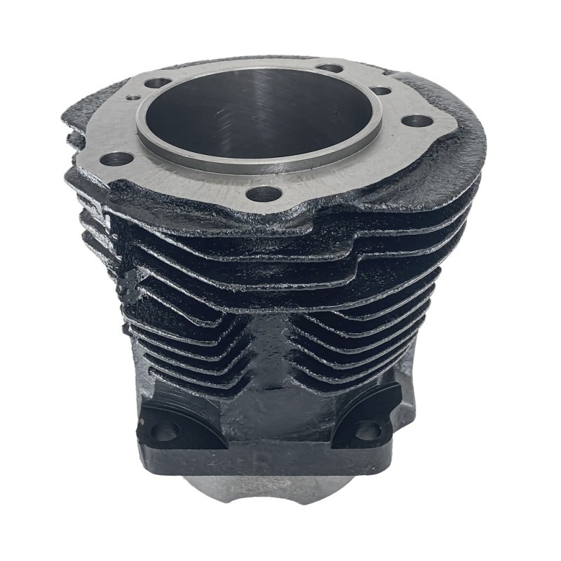 Cylindres et pistons zodiac 049120