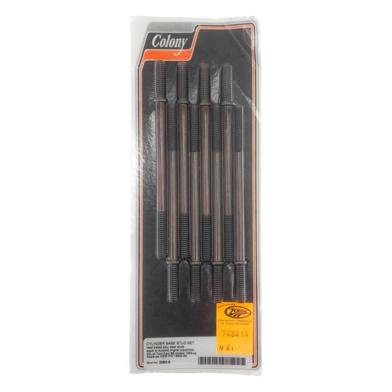 Goujons de cylindre 788814