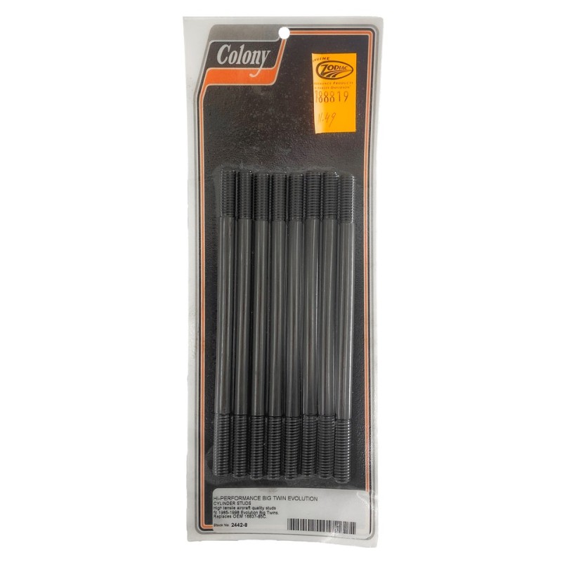 Goujons de cylindre 788819